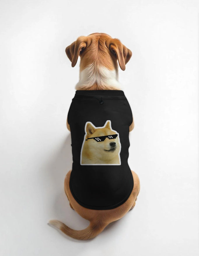 Back_1_c_2.jpg
